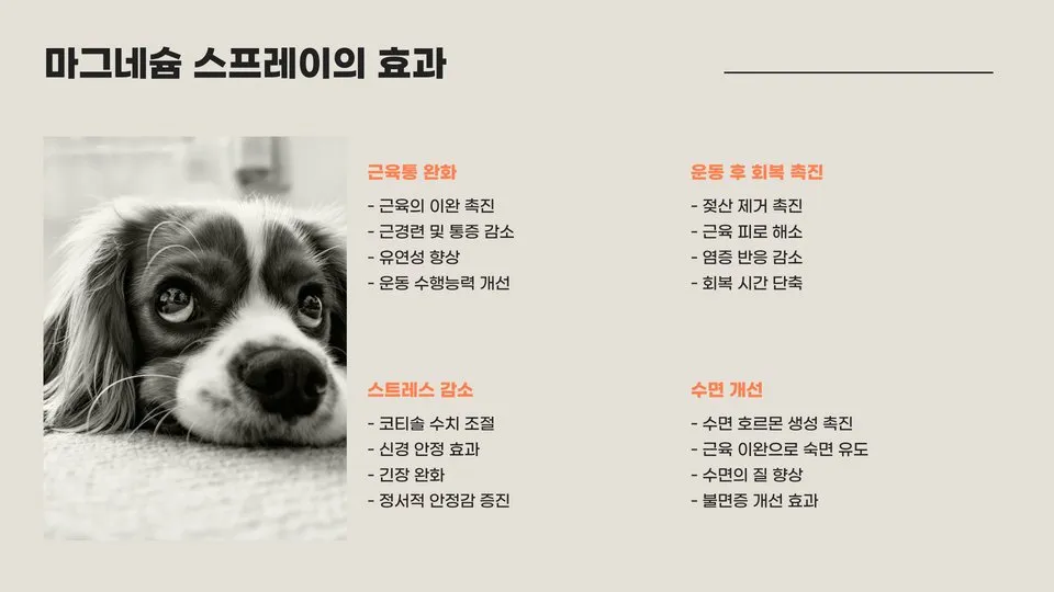 마그네슘 스프레이효능 이미지 7