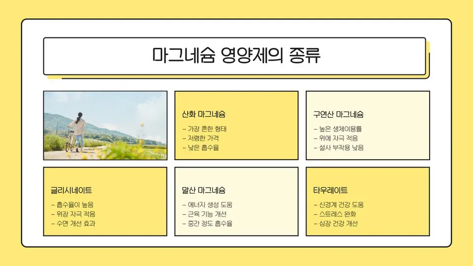 마그네슘 영양제 효능 이미지 9