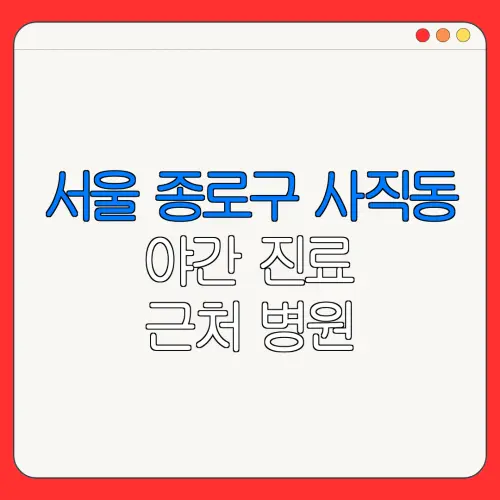 서울 종로구 사직동 야간 진료 근처 병원 24시 병원 | 야간병원 | 24시 약국