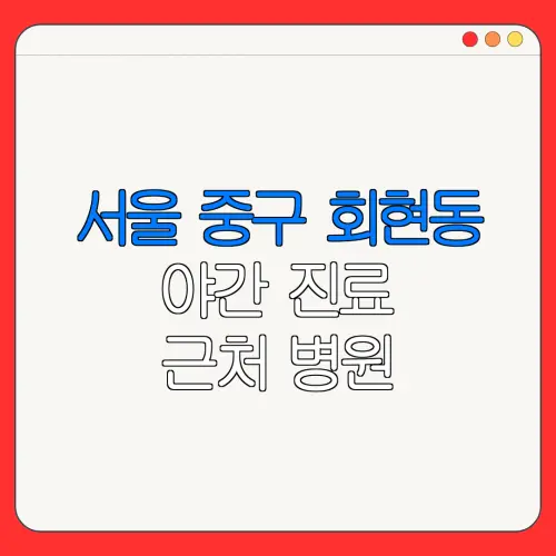 서울 중구 회현동 야간 진료 근처 병원 24시 병원 | 야간병원 | 24시 약국