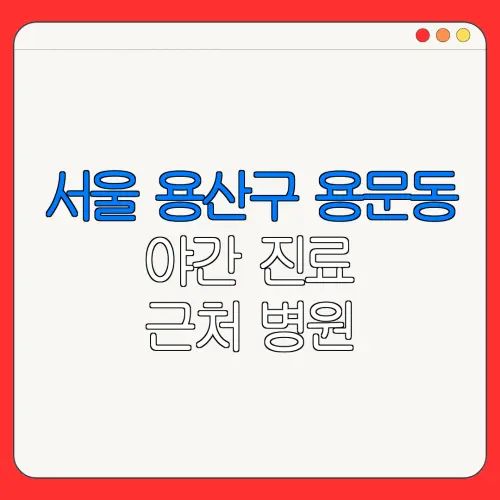 서울 용산구 용문동 야간 진료 근처 병원 24시 병원 | 야간병원 | 24시 약국