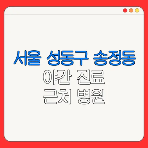 서울 성동구 송정동 야간 진료 근처 병원 24시 병원 | 야간병원 | 24시 약국