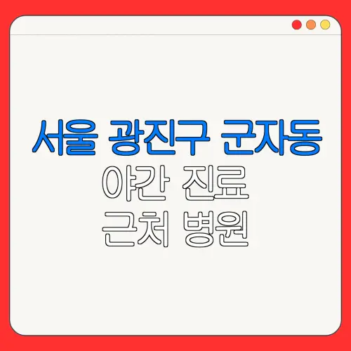 서울 광진구 군자동 야간 진료 근처 병원 24시 병원 | 야간병원 | 24시 약국