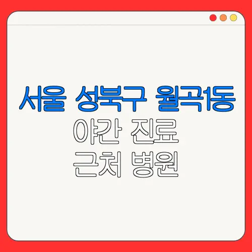 서울 성북구 월곡1동 야간 진료 근처 병원 24시 병원 | 야간병원 | 24시 약국
