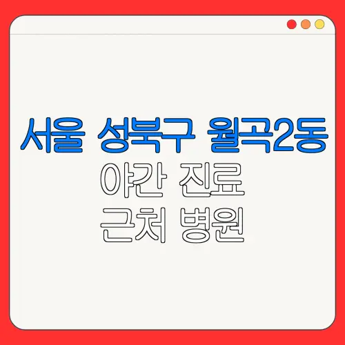 서울 성북구 월곡2동 야간 진료 근처 병원 24시 병원 | 야간병원 | 24시 약국