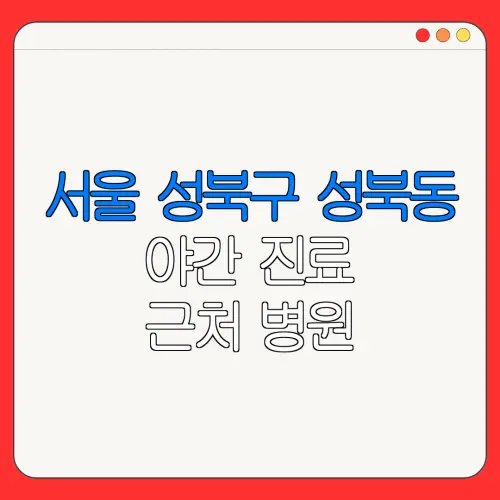 서울 성북구 성북동 야간 진료 근처 병원 24시 병원 | 야간병원 | 24시 약국