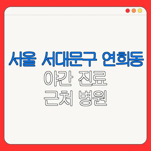 서울 서대문구 연희동 야간 진료 근처 병원 24시 병원 | 야간병원 | 24시 약국