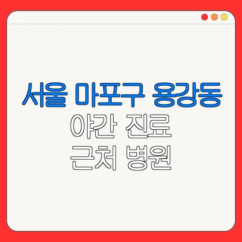서울 마포구 용강동 야간 진료 근처 병원 24시 병원 | 야간병원 | 24시 약국