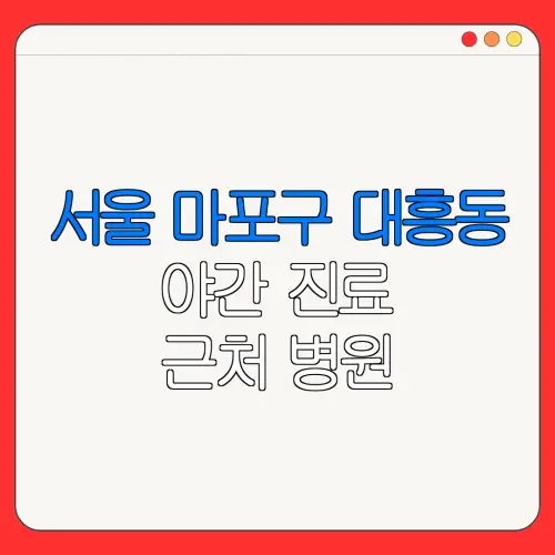 서울 마포구 대흥동 야간 진료 근처 병원 24시 병원 | 야간병원 | 24시 약국
