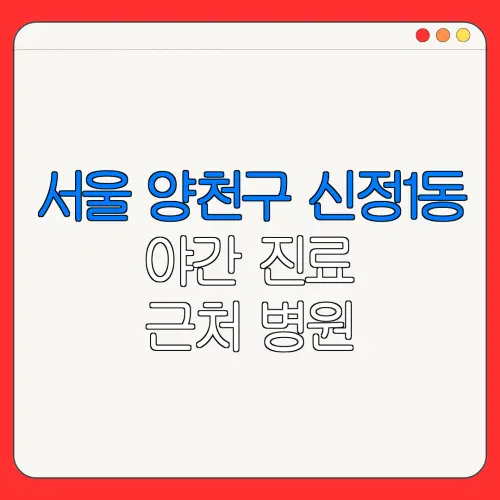 서울 양천구 신정1동 야간 진료 근처 병원 24시 병원 | 야간병원 | 24시 약국