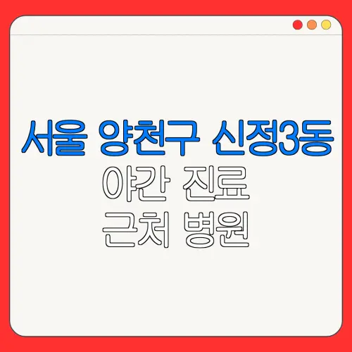 서울 양천구 신정3동 야간 진료 근처 병원 24시 병원 | 야간병원 | 24시 약국