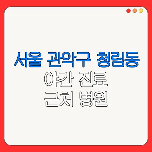 서울 관악구 청림동 야간 진료 근처 병원 24시 병원 | 야간병원 | 24시 약국