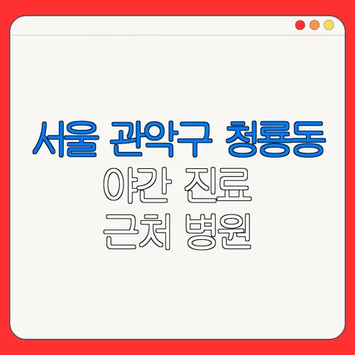 서울 관악구 청룡동 야간 진료 근처 병원 24시 병원 | 야간병원 | 24시 약국