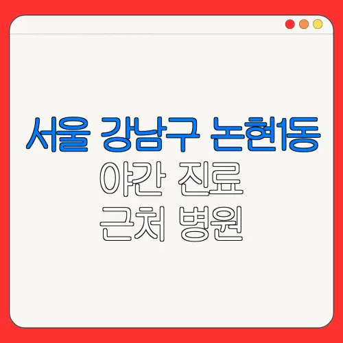 서울 강남구 논현1동 야간 진료 근처 병원 24시 병원 | 야간병원 | 24시 약국