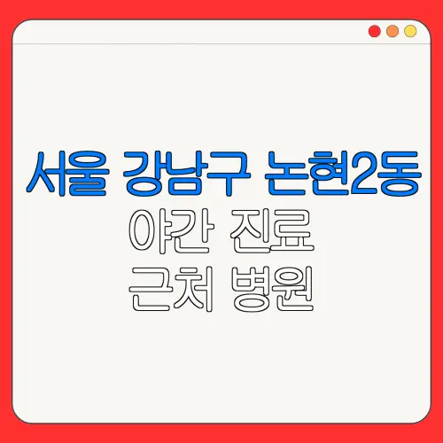 서울 강남구 논현2동 야간 진료 근처 병원 24시 병원 | 야간병원 | 24시 약국