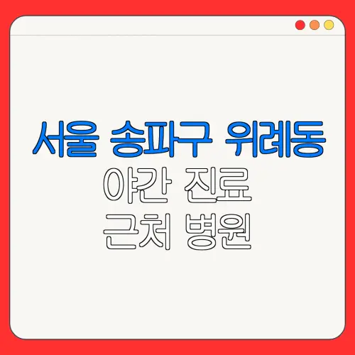 서울 송파구 위례동 야간 진료 근처 병원 24시 병원 | 야간병원 | 24시 약국