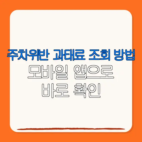 주차위반 과태료 조회 방법모바일 앱으로바로 확인