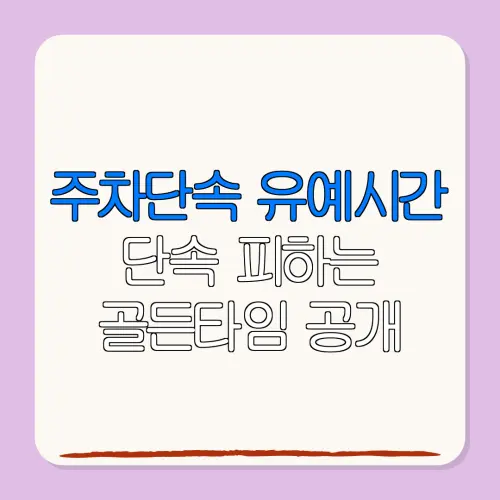 주차단속 유예시간단속 피하는골든타임 공개