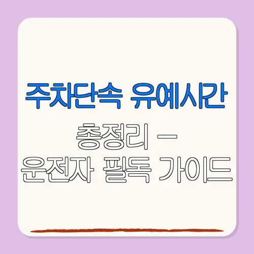 주차단속 유예시간총정리 –운전자 필독 가이드