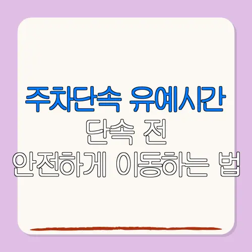 주차단속 유예시간단속 전안전하게 이동하는 법