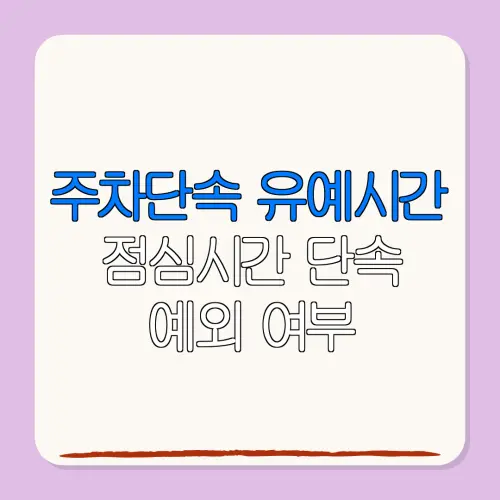 주차단속 유예시간점심시간 단속예외 여부