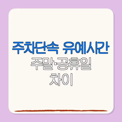 주차단속 유예시간주말·공휴일차이