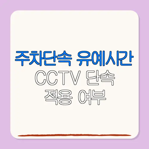 주차단속 유예시간CCTV 단속적용 여부