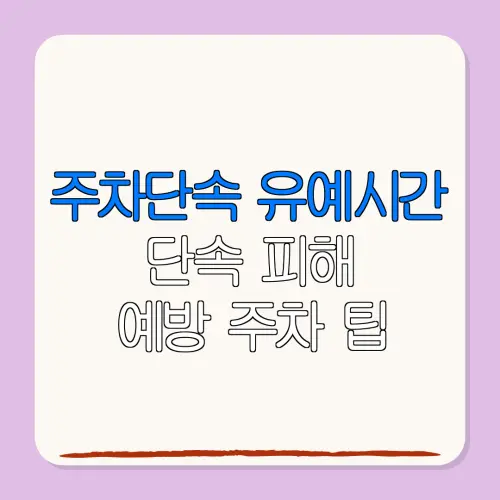 주차단속 유예시간단속 피해예방 주차 팁