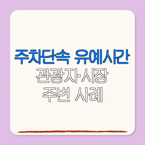 주차단속 유예시간관광지·시장주변 사례
