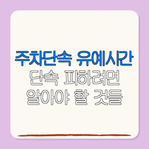 주차단속 유예시간단속 피하려면알아야 할 것들