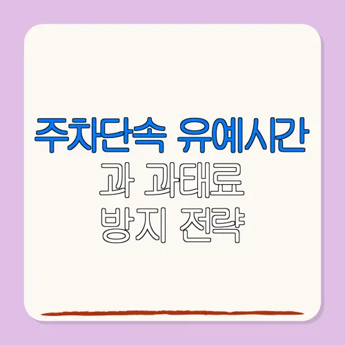 주차단속 유예시간과 과태료방지 전략
