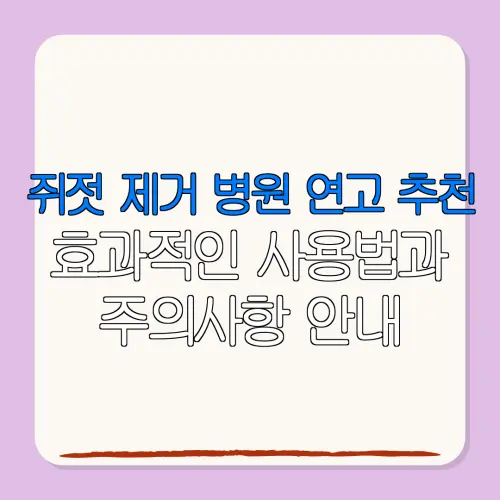 쥐젓 제거 병원 연고 추천효과적인 사용법과주의사항 안내